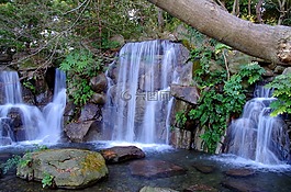 瀑布,水,夏季