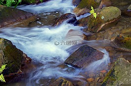 水,日本,自然