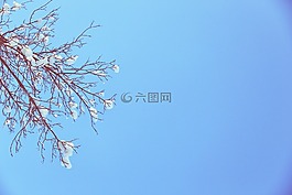 蓝色,天空,冬天