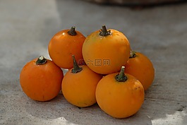 水果,紋理,性質(zhì)