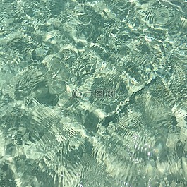 海灘,外殼,海洋
