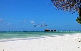 天堂,網(wǎng)站,海