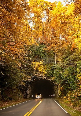 隧道,山,秋天
