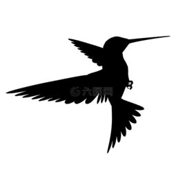 鳥,飛行,側(cè)影