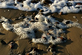 泡沫,石頭,海灘