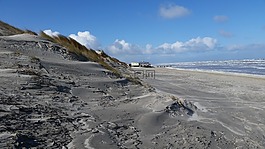 海灘,海,北海