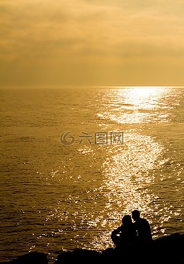 景觀,日落,海