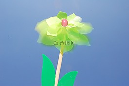 针轮,车轮,花