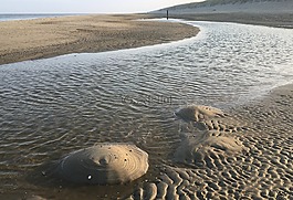 海灘,特克塞爾,北海