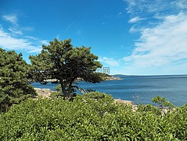 海洋,海,水