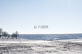 冬天,雪,冷