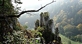 搖滾手套,秋,性質(zhì)