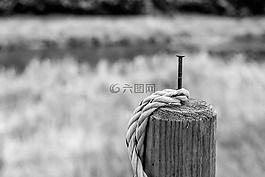 樁,繩,文章