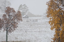 農(nóng)場,冬天,吉谷