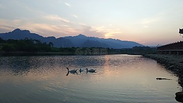山水,鵝,夕陽(yáng)
