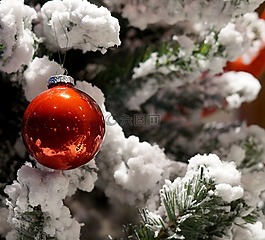 圣誕,圣誕樹,雪