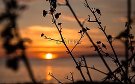 太陽,馬洛卡,海