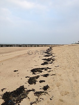 新西兰,海滩,海