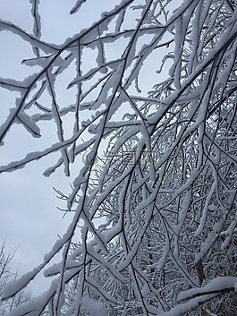 雪,冰,冷