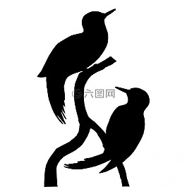 鳥,啄木鳥,動(dòng)物