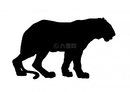 虎,動物,黑