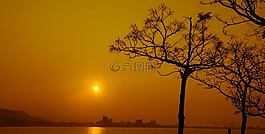 夕陽,樹,河
