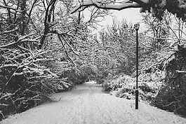雪,走,路徑
