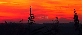 紅色,黑,黃昏