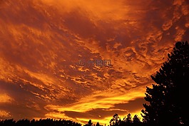 日落,戶外,自然