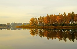 巖,森林,河