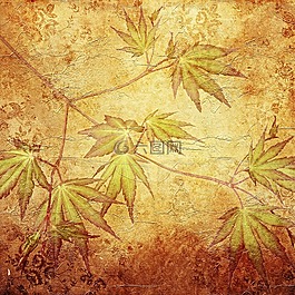 紋理,背景,模式