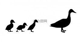 鴨,小鴨,小雞