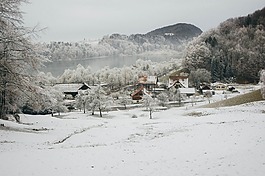 冬天,首頁,雪