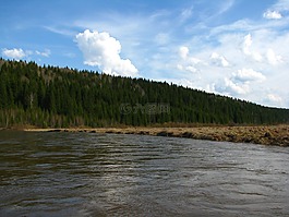 合金,河koiva,旅游