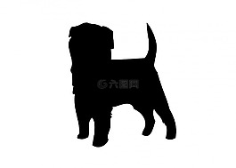 狗,affenpinscher,動物