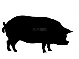 豬,動物,肉豬
