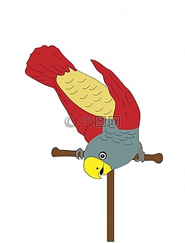 鸚鵡,鳥,動(dòng)物