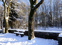 冬季景观,雪,besneeuw