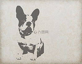 狗,法國斗牛犬,動物