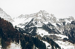 山,冬天,樹