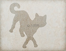 貓,貓的,基蒂