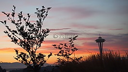 西雅圖,日落,空間針