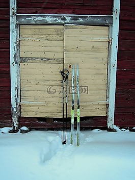滑雪板,枝,滑雪