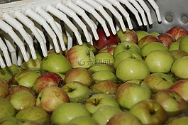 蘋果,水果,食品