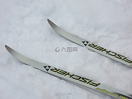滑雪板,枝,滑雪