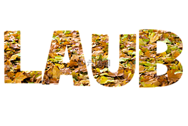 葉刻字圣經(jīng),紋理,豐富多彩
