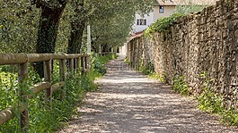 離,路徑,徒步旅行