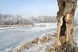 雪,冬天,景觀