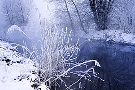 雪,冬天,景觀