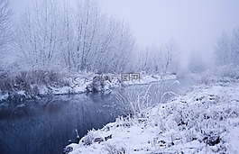 雪,冬天,景觀